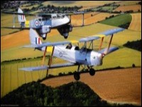Tiger Moth experience picture